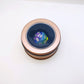 Pride Rainbow Single D20 Die